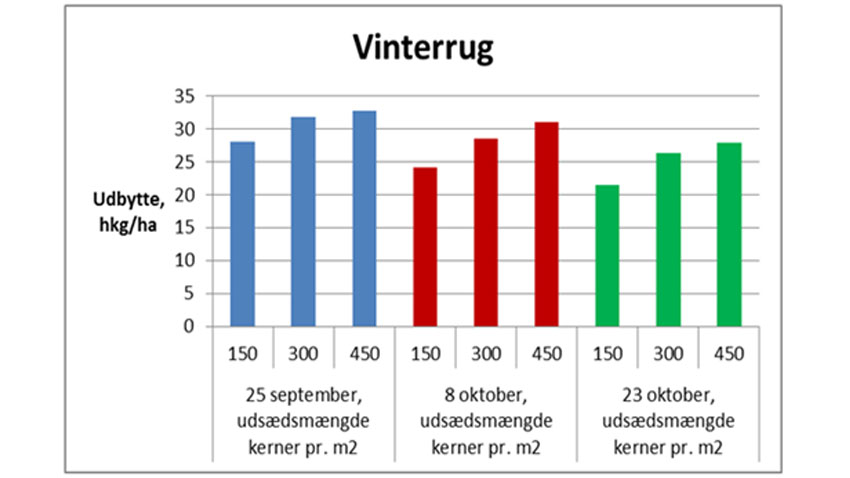 Såtider og udsædsmængder i økologisk vinterrug. 1 forsøg i 1991.