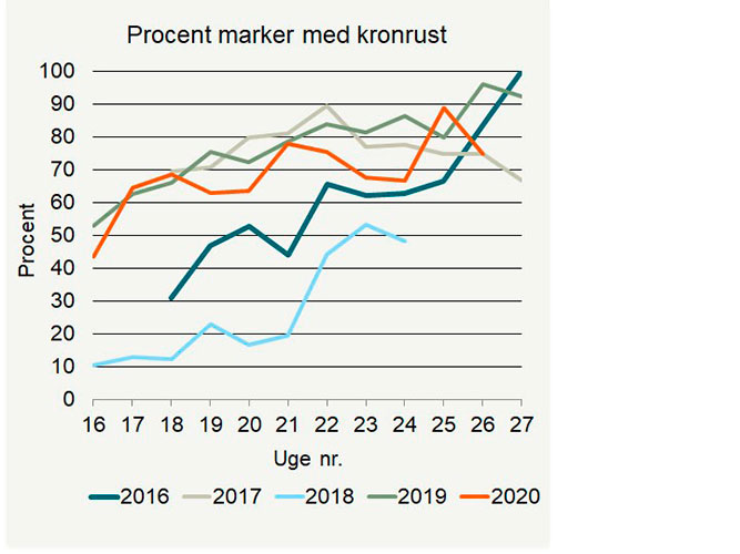 Procent marker (ubehandlet) med forekomst af kronrust i rajgræs i 2016-2020.