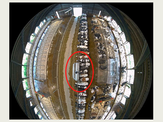 Metanhuset i forbindelse med udfodring. Overdækningen lukkes igen efterfølgende. 