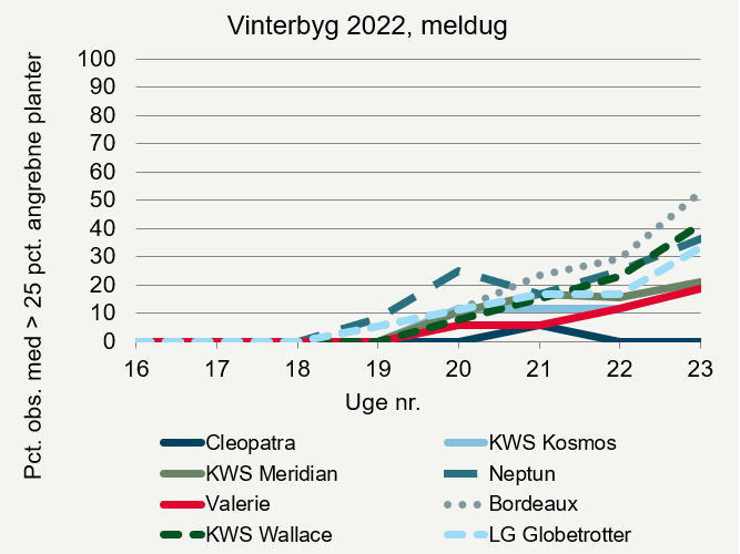 Udviklingen af meldug i forskellige vinterbygsorter i registreringsnettet 2022