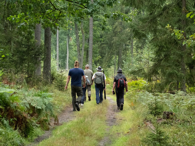 Fem mennesker går ad en smal skovsti omgivet af tæt, grøn bevoksning i en frodig skov. De er iført praktisk tøj og rygsække, hvilket tyder på en vandretur eller naturudflugt. Store træer og bregner skaber en naturlig ramme om stien, der forsvinder længere ind i skoven.