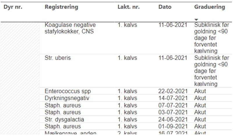 Analysér på akutte og subkliniske yverbehandlinger