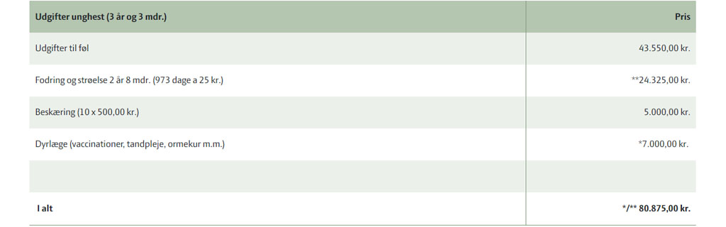 Tabel over udgifter til unghest