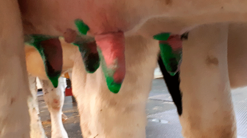 Mangelfuld dækning af fordyp, tydeliggjort af et farvet produkt