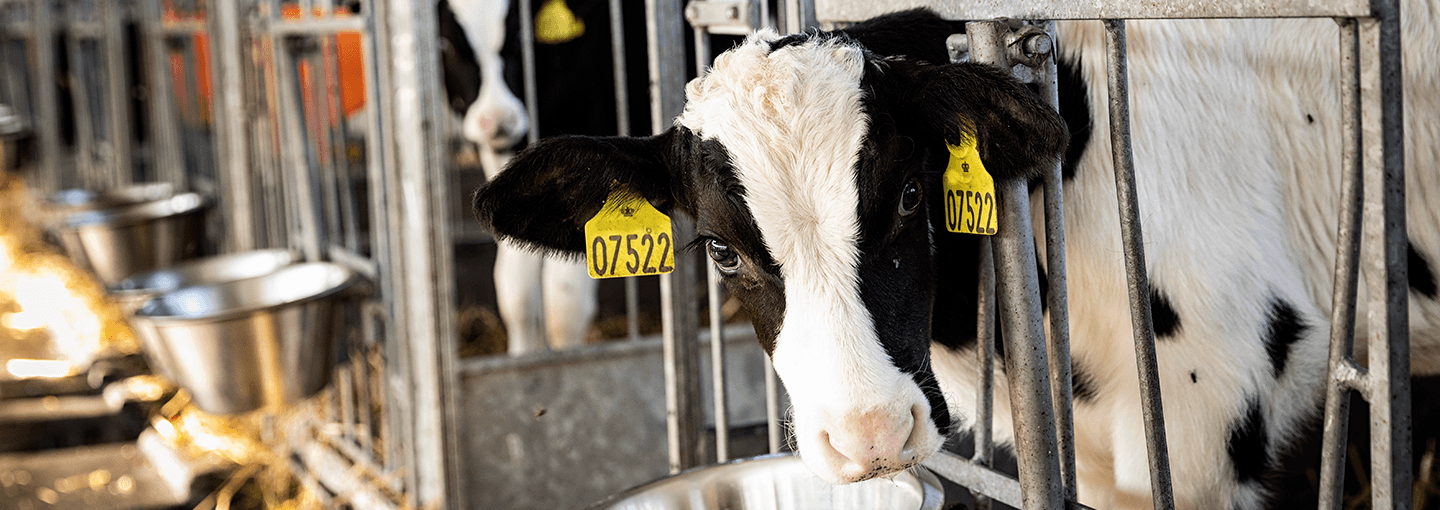 Hero sundhed velfærd smertebehandling elektrolyt