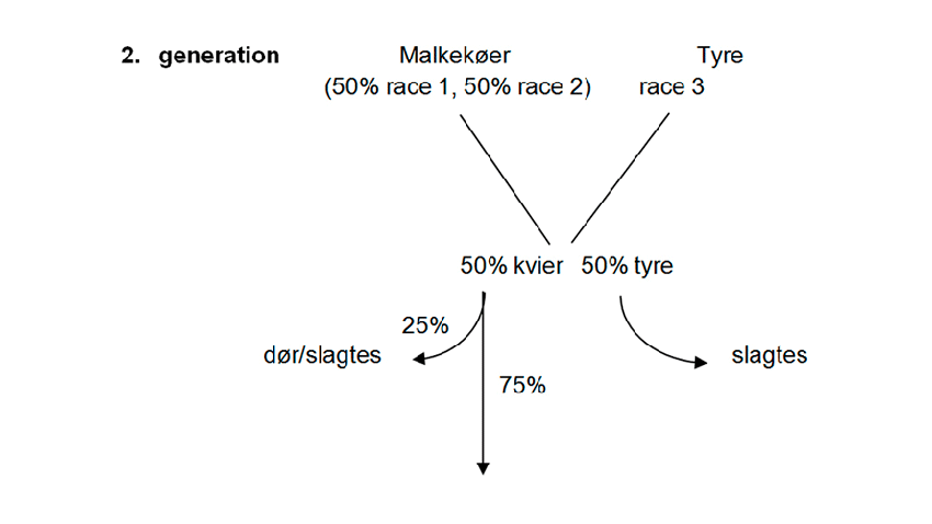 Illustration af rotationskrydsning