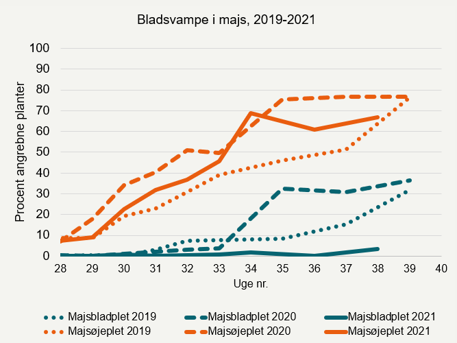 Udvikling af bladsvampe 