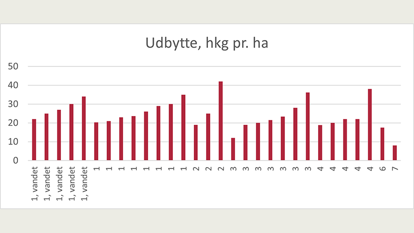 Udbytte fordelt på jordtype og vanding. Blandsæd og renbestand. 