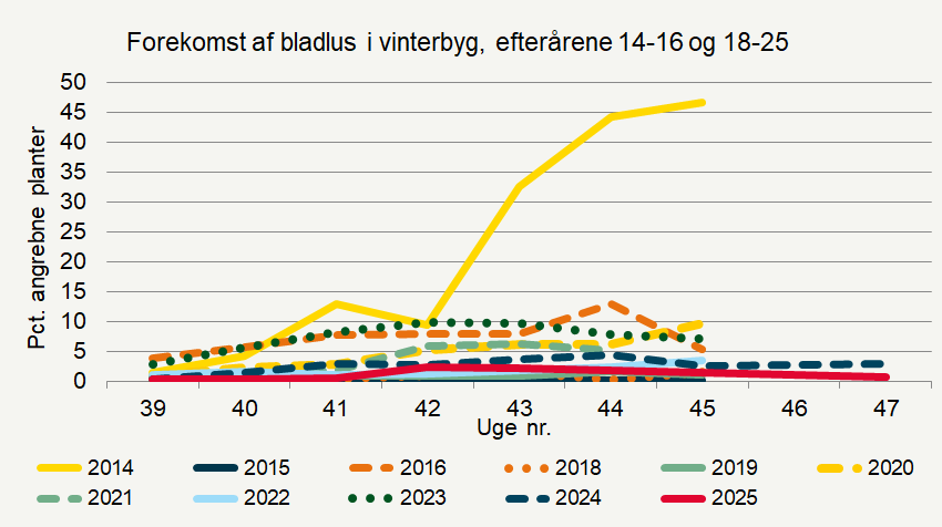 Udviklingen af bladlus (procent angrebne planter) i vinterbyg i efterårene 2014-2016 og 2018-2025.