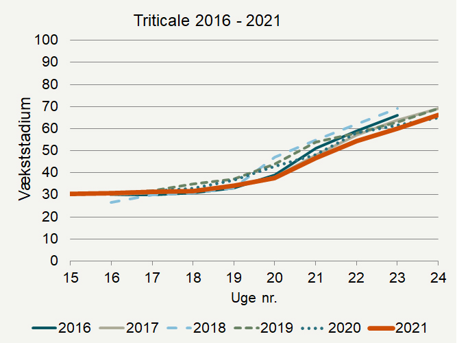 Udviklingen i vækststadier i triticale i de seneste seks år i registreringsnettet.