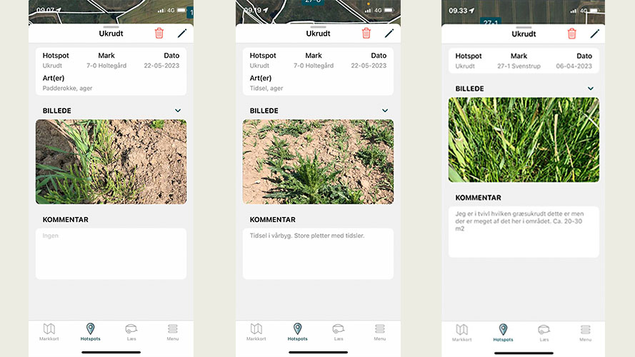 billeder fra hotspot i FarmTracking viser padderokker, tidsler og græsukrudt