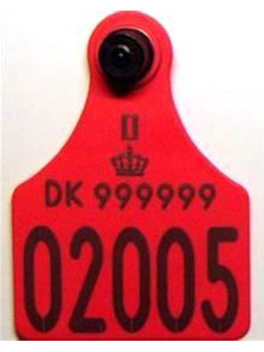 #1971.3: Særlige øremærker