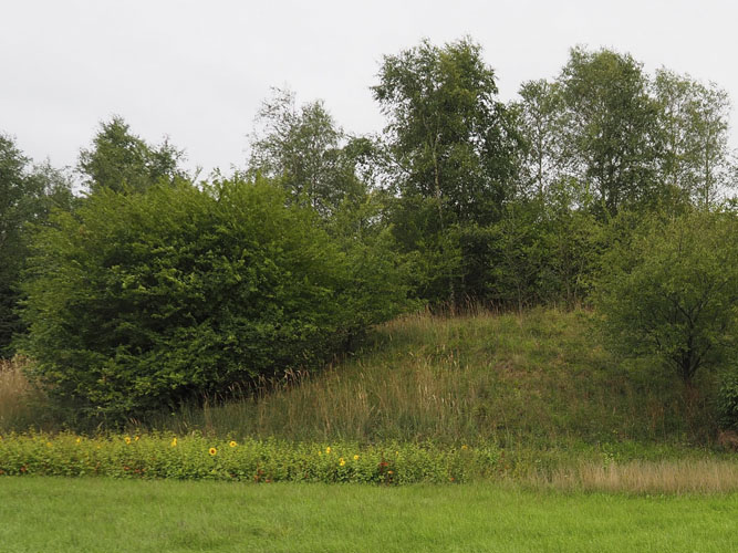 Brug evt. blomsterstriberne som bufferareal. Striben kan skåne et naturområde eller en småbiotop fra gødskning og sprøjtning. 
