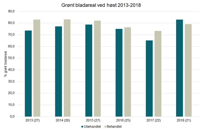 Bladsvampe i majs figur 7