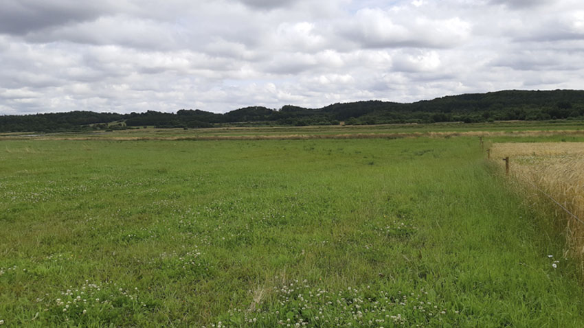 Lavbundsprojektet Heltzen Pumpelaug og Enge