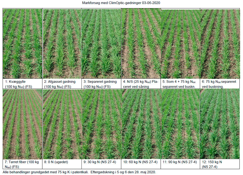Markforsøg med ClimOptic-gødninger d. 3. juni 2020