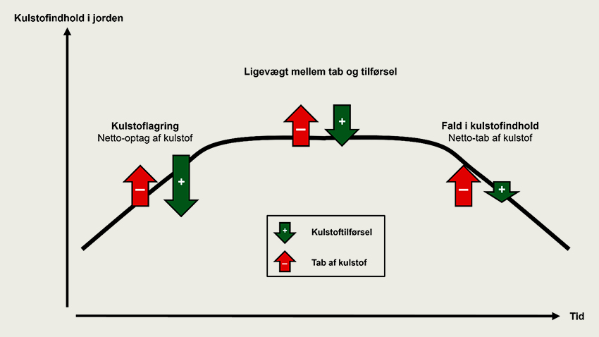 Sammenhængen mellem udviklingen i jordens kulstofindhold og forholdet mellem tilførsel og tab af kulstof fra jorden.