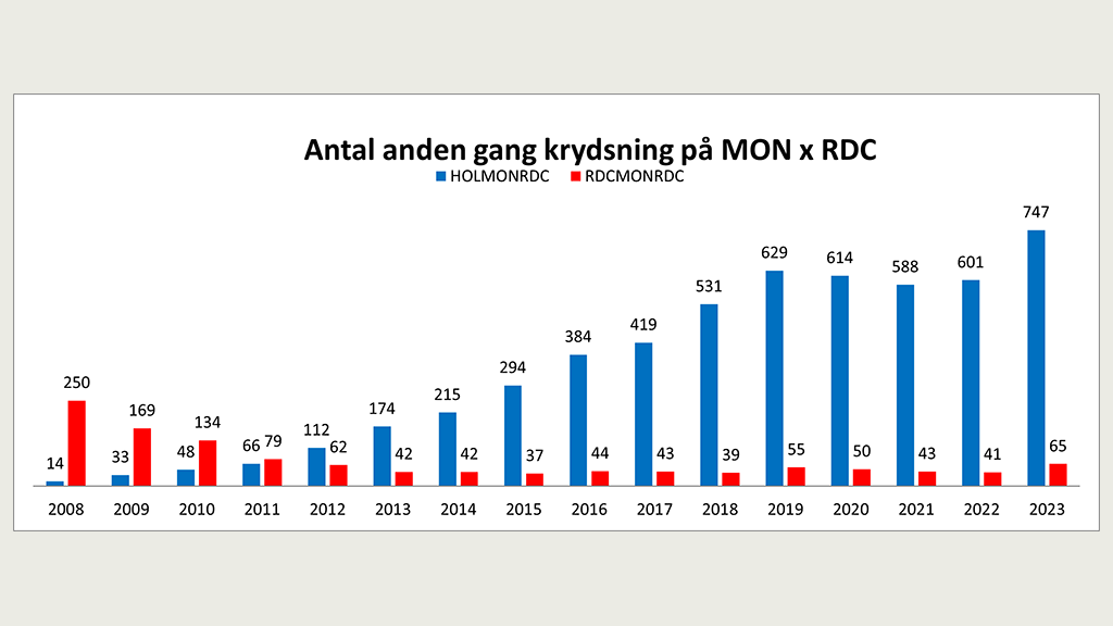 Antal anden gang krydsning på Montbeliarde x RDC