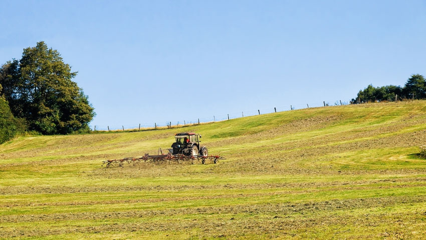 Naturområderne kan forvaltes med slåning, men ofte resulterer det i et ensartet areal uden strukturer