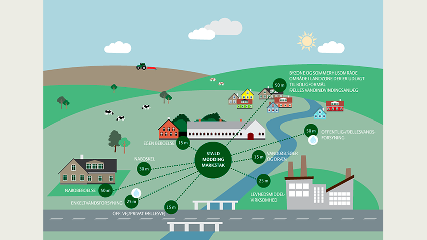 Afstandskrav for dyrehold, mødding og markstak. Kilde: SEGES Innovation.