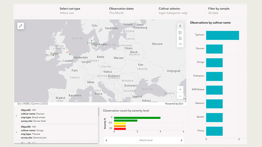 app viser gulrustangreb i Europa