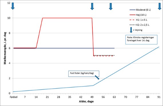 Figur 1. Forsøgsdesign