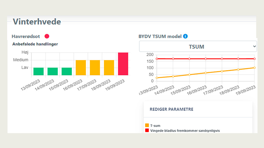 Risikovurdering for bladlus ved fremspiring af vinterhvede d. 12/9. På grafen til højre ses temperatursummen (orange linje), og hvornår bladlus formodentligt forekommer, T-sum 170 (rød).