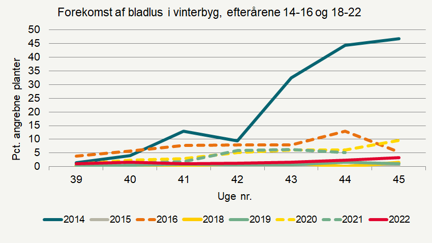 Udviklingen i angreb af bladlus (procent angrebne planter) i registreringsnettet i vinterbyg i 2022 og i tidligere år.
