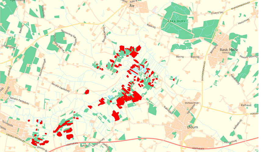 Kortlagt kategori 1 natur i Uldum Kær indtegnet med røde polygoner