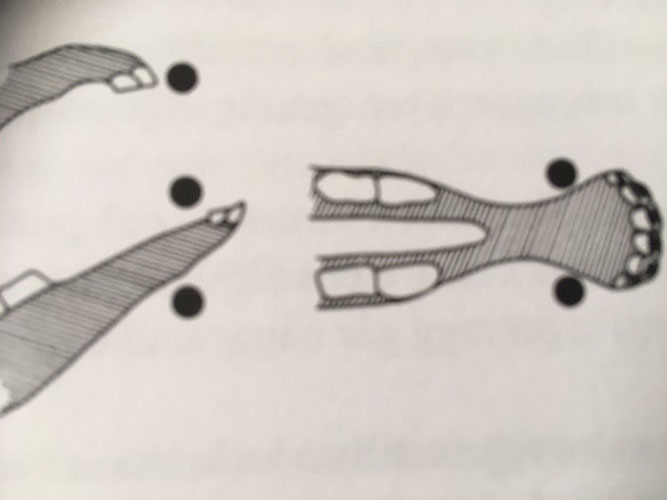 En hest bider omkring tremmerne -vender hovedet og sidder efterfølgende fast med hovedet