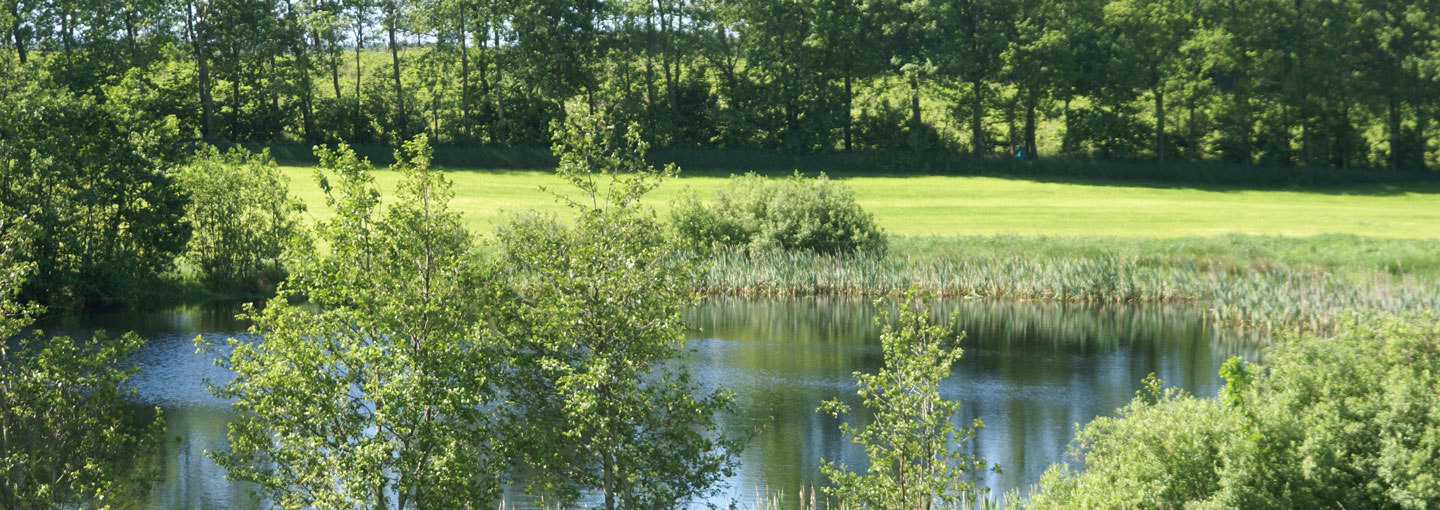 Landskab med sø