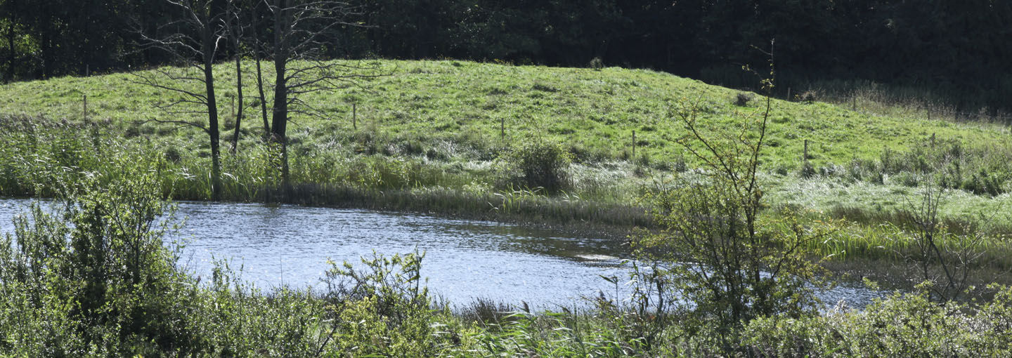 FAIRWAY - kvaliteten i vores grundvand