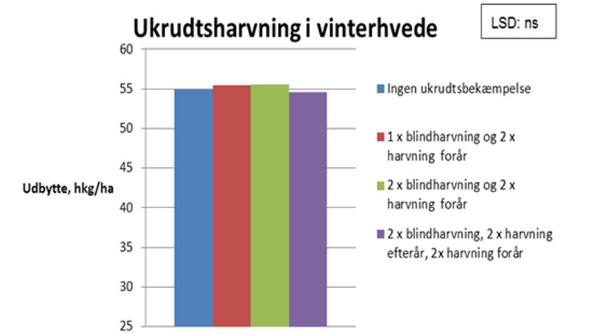 Ukrudtsharvning i vinterhvede. 5 forsøg i 2001 til 2002.