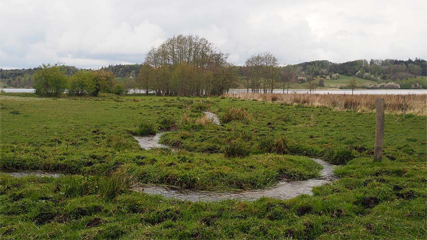Fra naturens side har det danske landskab været præget af vand, med mange vandløb, kilder, moser og enge, hvor vandet har frit løb. 