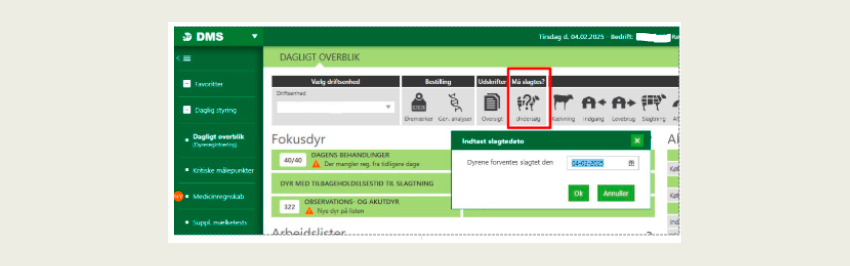 Opdateringer til DMS februar 2025