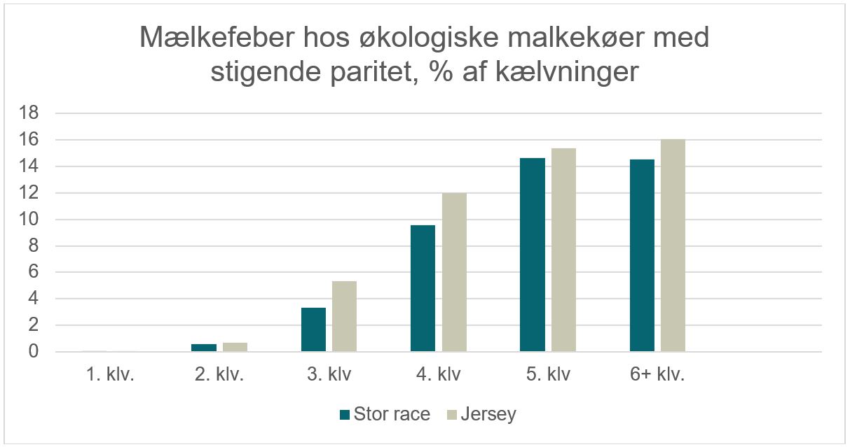 Figur 1. Forekomst af mælkefeber hos økologiske malkekøer af stor race eller jersey med stigende kælvningsnummer.