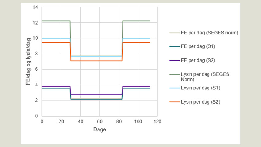 Figur 1 De to foderstrategier sat i forhold til drægtighedsnormerne fra SEGES konventionel