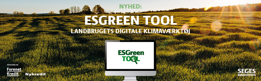 Billede til esgreen tool