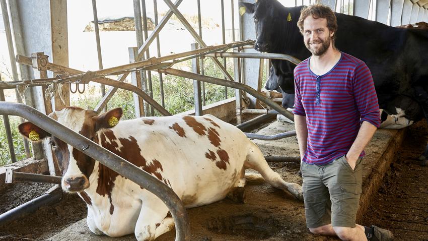 Anders Ring og en af køerne – før udskiftning af gamle, hullede madrasser og knækket inventar. (Foto: Landbrugsmedierne)