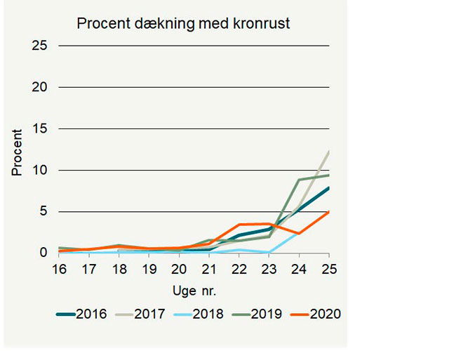 Procent dækning med kronrust i rajgræs i ubehandlet i 2016-2020.