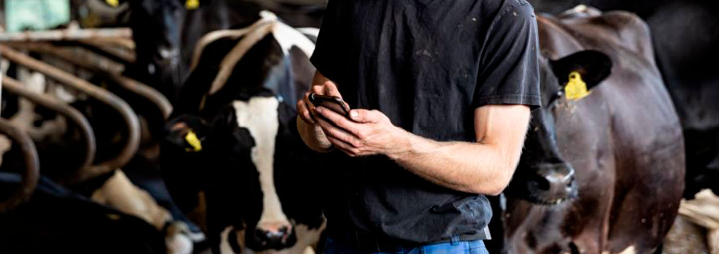 hero_indberet_kvagdata_easycow