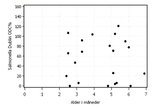 Salmonella Dublin antistofniveau vs. alder 