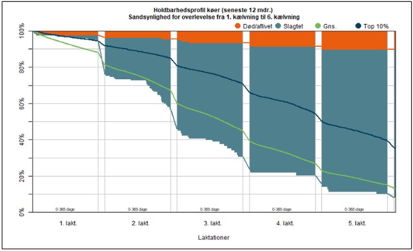 DMS figur der viser sammenligning af holdbarhed 