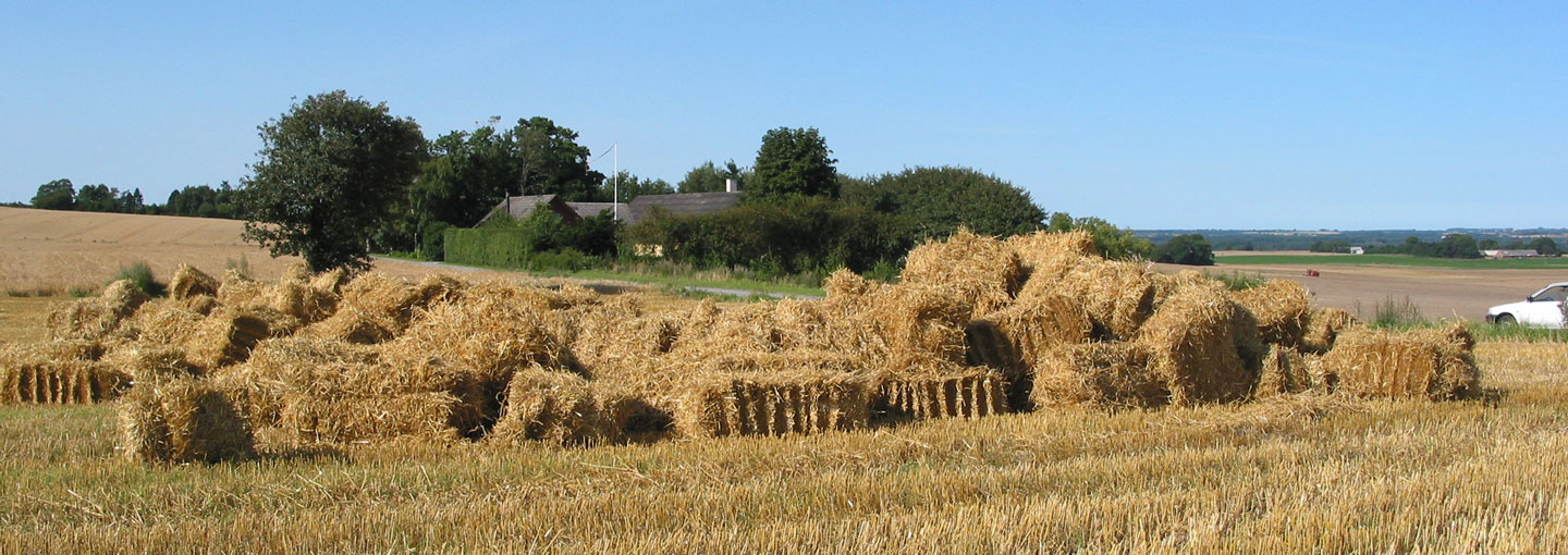 Halm på mark