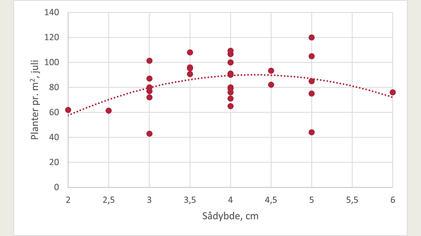 Plantetal som funktion af sådybde.