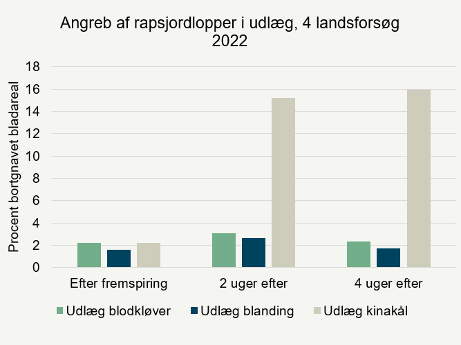 Angreb af rapsjordlopper i udlægsafgrøderne, procent bortgnavet bladareal.