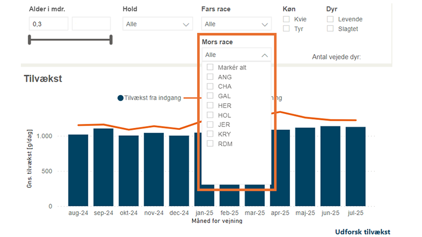 Opdatering til DMS - september 2025