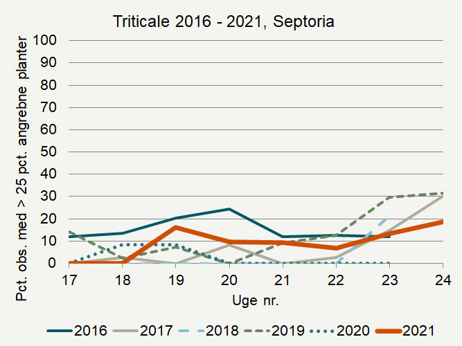 Udviklingen af Septoria i de seneste seks år i registreringsnettet. Pct. observationer med over 25 pct. angrebne planter er angivet.