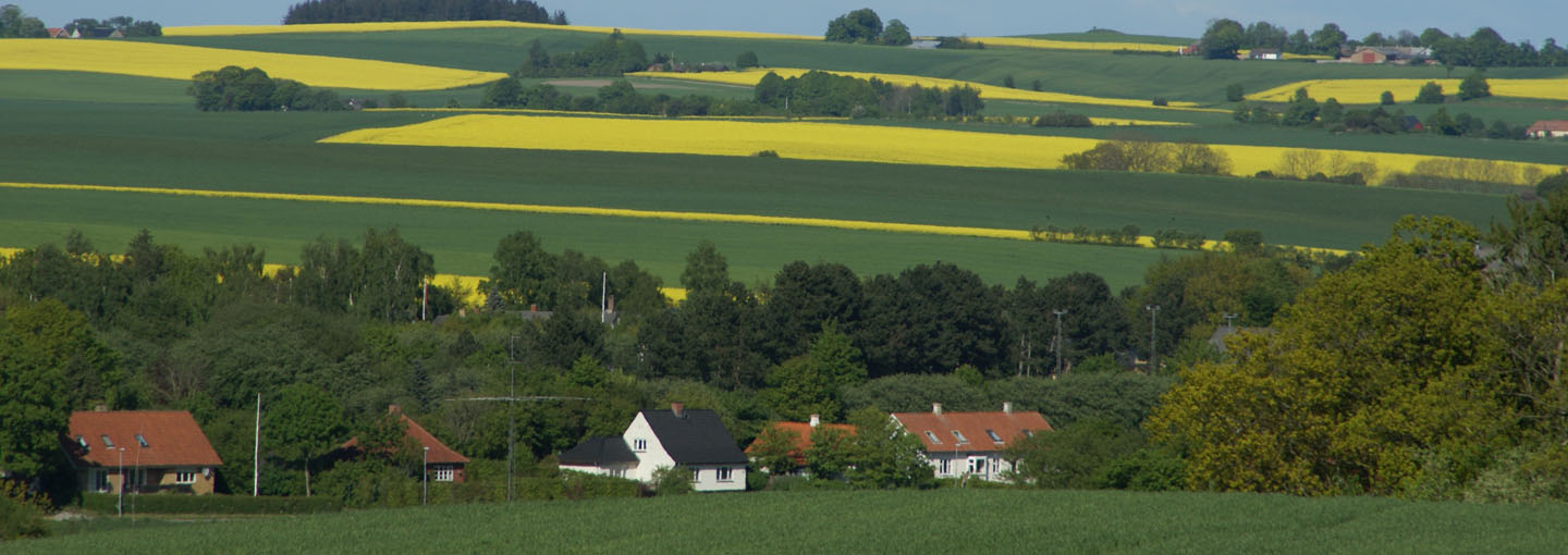 Landskabsbilleder med huse og egendomme i forgrunden og landbrugsmarker i baggrunden